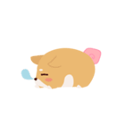 Shiba dog with Peach（個別スタンプ：16）