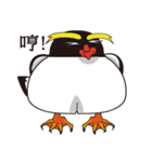 Penguin chia-chia（個別スタンプ：23）