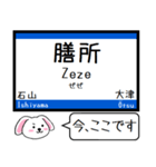 東海道線の琵琶湖線と北陸本線 今この駅 ！（個別スタンプ：20）