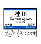 東海道線の京都線 神戸線 いまこの駅 ！（個別スタンプ：3）