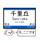 東海道線の京都線 神戸線 いまこの駅 ！（個別スタンプ：11）