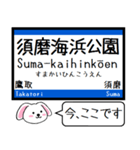 山陽本線の神戸線 いまこの駅 ！（個別スタンプ：5）