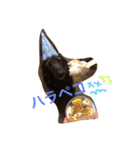 愛犬 リック（個別スタンプ：3）