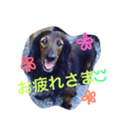 愛犬 リック（個別スタンプ：8）