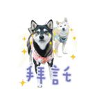 shibainu.Cola sister（個別スタンプ：2）