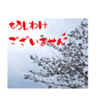桜の写真と敬語（個別スタンプ：4）