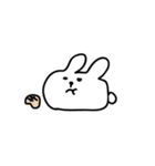 Rabbit:3（個別スタンプ：1）