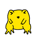 golden frog（個別スタンプ：4）