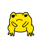 golden frog（個別スタンプ：15）