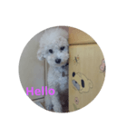 .Hello...（個別スタンプ：3）