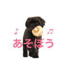 unico！！（個別スタンプ：5）