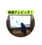 黒猫 自由気ままにゃ！（個別スタンプ：2）