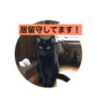 黒猫 自由気ままにゃ！（個別スタンプ：3）