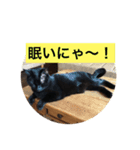 黒猫 自由気ままにゃ！（個別スタンプ：4）