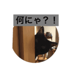 黒猫 自由気ままにゃ！（個別スタンプ：7）