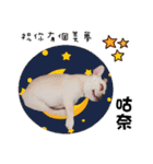 Peng peng Dog life（個別スタンプ：2）