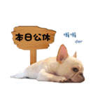 Peng peng Dog life（個別スタンプ：4）