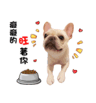 Peng peng Dog life（個別スタンプ：7）