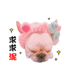 Peng peng Dog life（個別スタンプ：8）