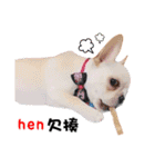 Peng peng Dog life（個別スタンプ：16）