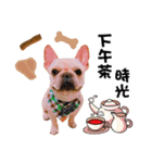 Peng peng Dog life（個別スタンプ：18）