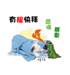 Peng peng Dog life（個別スタンプ：20）