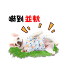 Peng peng Dog life（個別スタンプ：21）