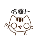 That-Cat（個別スタンプ：12）