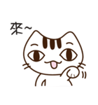 That-Cat（個別スタンプ：37）