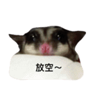 Sugarglider Nanako（個別スタンプ：3）