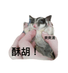 Sugarglider Nanako（個別スタンプ：10）