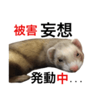 I LOVE FERRET 10 フェレット（個別スタンプ：12）