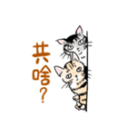 For our master（個別スタンプ：14）