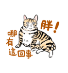 For our master（個別スタンプ：15）