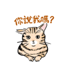 For our master（個別スタンプ：18）