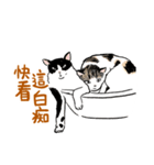 For our master（個別スタンプ：24）