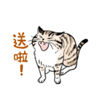 For our master（個別スタンプ：26）