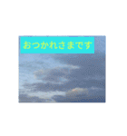 日常会話大人敬語親切丁寧トリ人生大切写真（個別スタンプ：13）