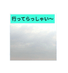 日常会話大人敬語親切丁寧トリ人生大切写真（個別スタンプ：24）