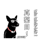 Black Bean's Mother Tongue Language（個別スタンプ：30）