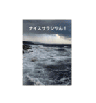 釣り人あるある（個別スタンプ：4）