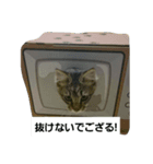 アムロです（個別スタンプ：2）