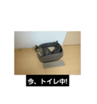 アムロです（個別スタンプ：3）