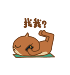 din dong sticker (yoga cat)（個別スタンプ：9）