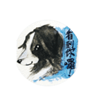 Border Collie - Zaoz（個別スタンプ：2）