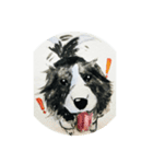 Border Collie - Zaoz（個別スタンプ：7）