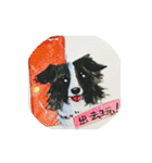 Border Collie - Zaoz（個別スタンプ：10）