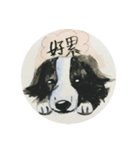 Border Collie - Zaoz（個別スタンプ：11）