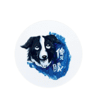 Border Collie - Zaoz（個別スタンプ：14）