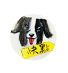 Border Collie - Zaoz（個別スタンプ：17）